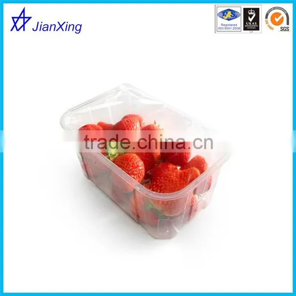 New Plastic Disposable Fruit Salad Container photo-5