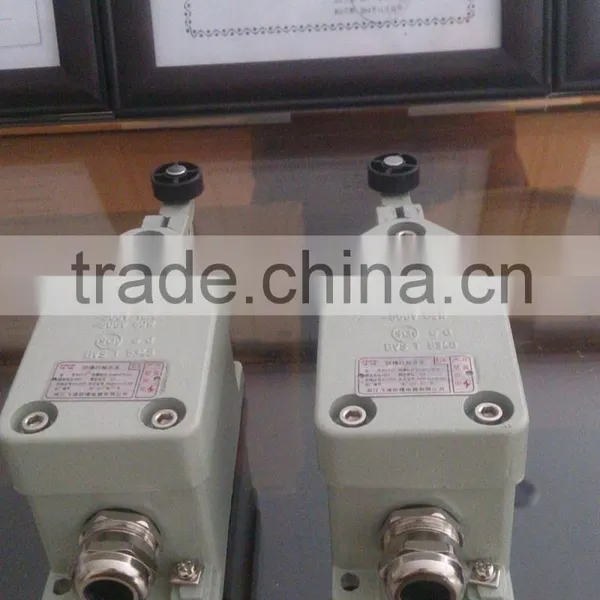 8077/1 Explosion Proof Stroke Switch Safety Proximity Switch photo-3