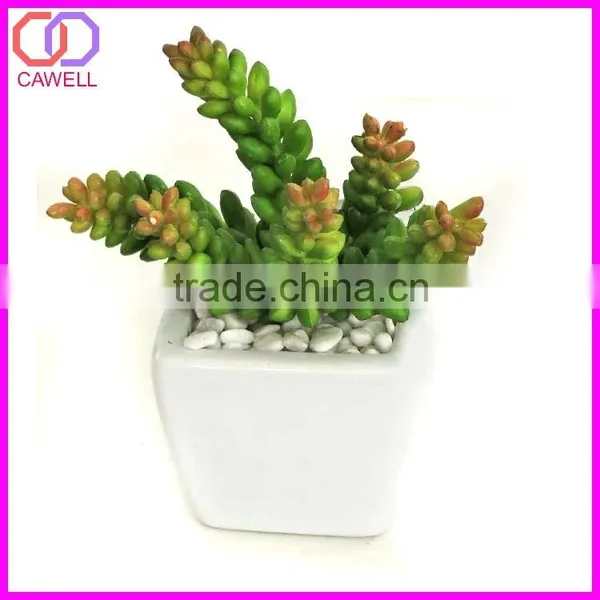 Wholesale Plastic Mini Artificial Succulent Plant in Pot for Garden Decoration photo-5