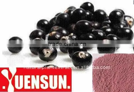 Acai Berry Extract