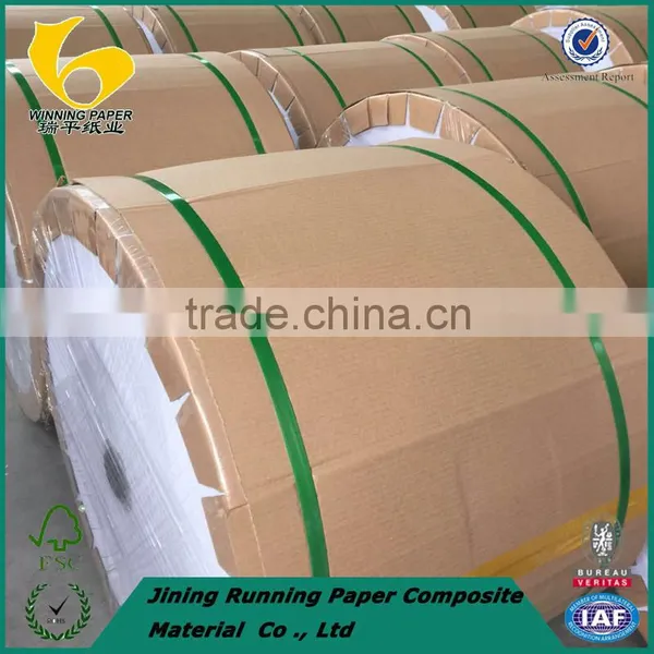 Cast Coated Paper photo-2