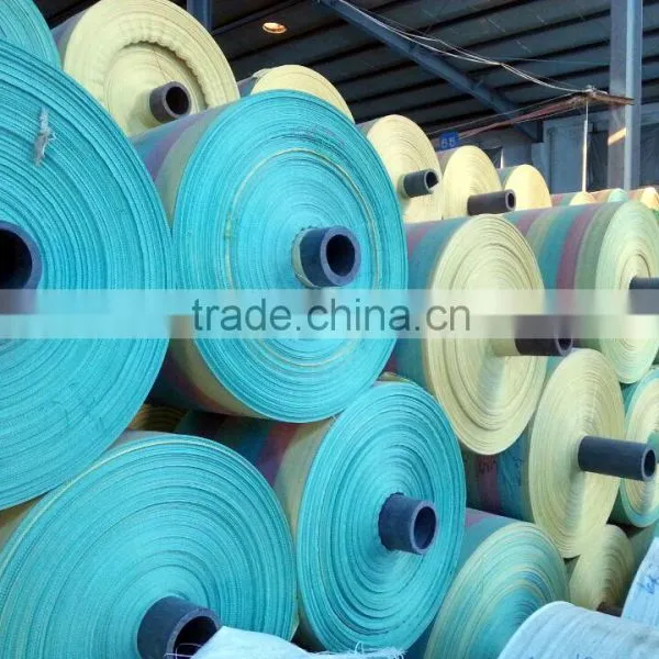 PP Fabric Roll Hot Sale in Ukraine,korea pp Woven Roll,PP Bulk Bag Roll pp Sack photo-3