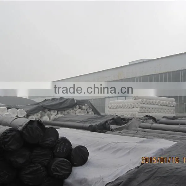 Plastic Geomembrane Cost for Wholesales photo-5