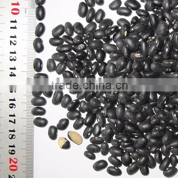 Dired China Bean for Sale in for Black Bean for Sale photo-3