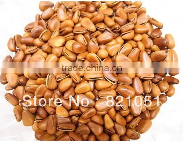 pine nut