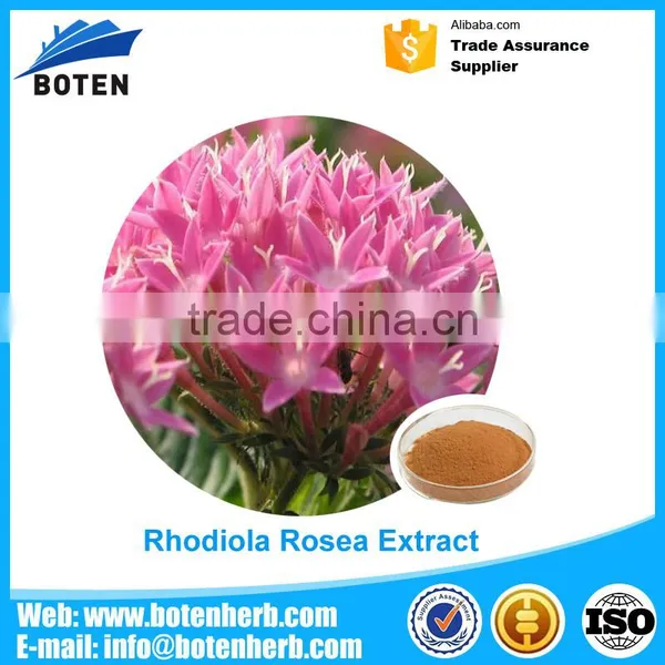 Top Quality Skin Caring Rhodiola Rosea Extract Pure Salidrosides 5% With A Discount photo-2