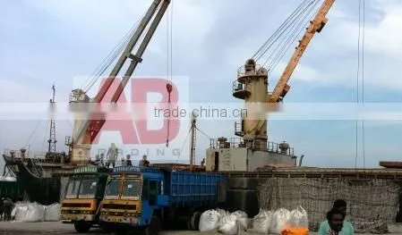 Fly Ash From Tuticorin, India / Used in Cement Industry / Coal Fired Power Plant photo-6