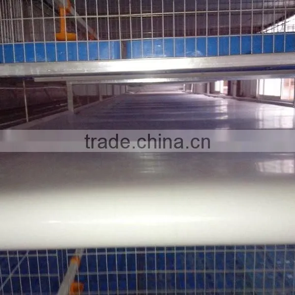 Automatic Poultry Farming Equipment for Layer Quail r photo-6