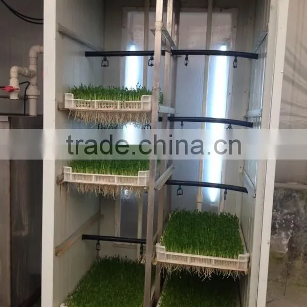 Hot Sale Bud Seeding Machine/ Seed Planting Machine for Sale photo-4