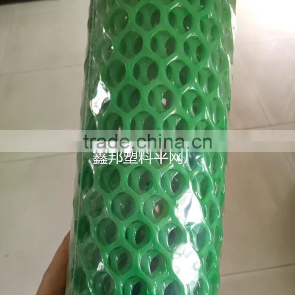 Plastic Mesh Plastic Net Chicken Mesh photo-5
