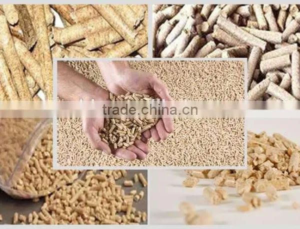 Murti-function Flat Die Pellet Machine in Feed Pellet Mill photo-6
