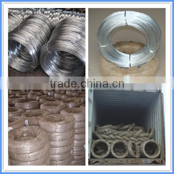 Low Price Galvanized Iron Wire From Guangzhou Supplier photo-6