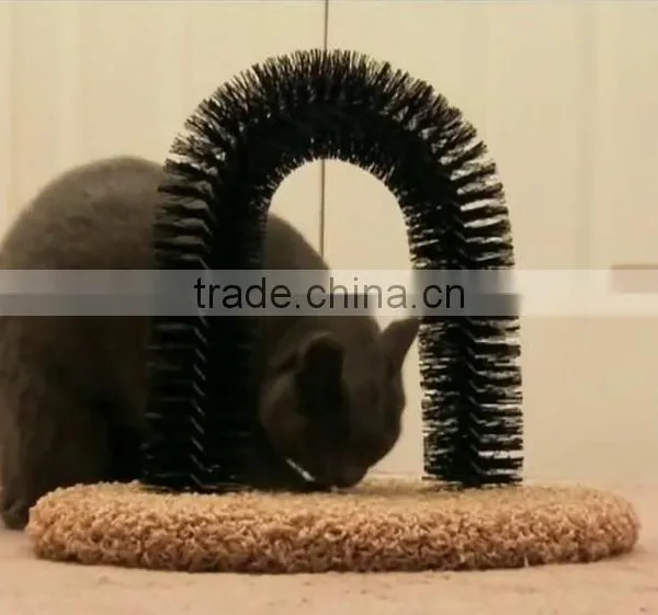 Cat Animal Purrfect Arch photo-2