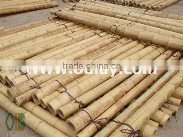 Big Building Bamboo Poles for Hotel photo-4