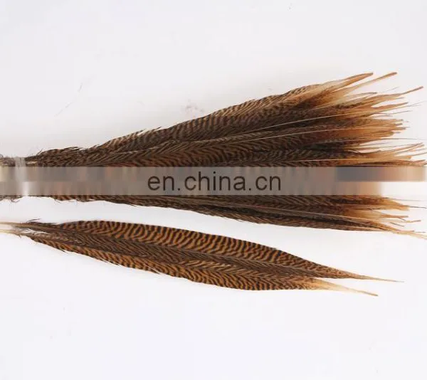 Best Quality 30-40cm Pheasant Feather photo-2