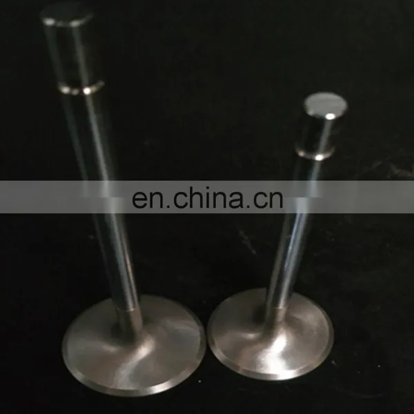 Custom Factory Engine Inlet Valve for Nissan Kicks March 2017 Car Engine Valve photo-4