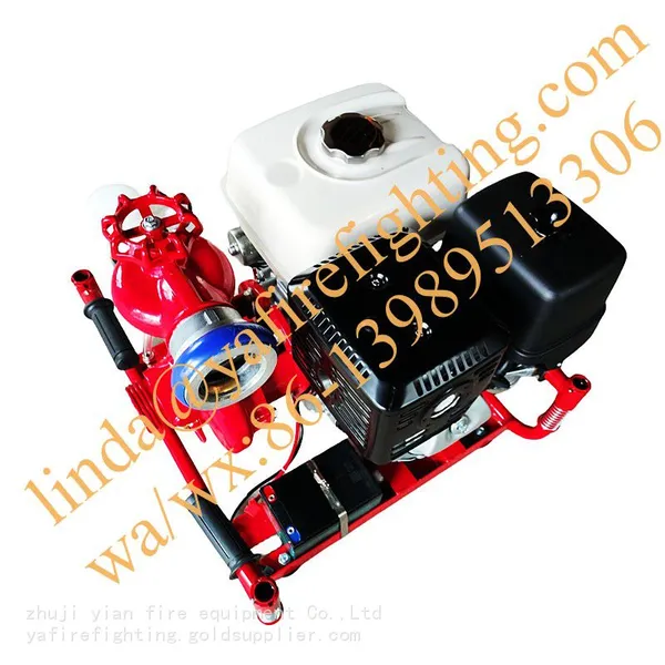Wholesale China Emergency Portable Fire Pumps With Honda Engine photo-4