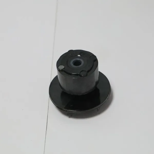 Precision PPO Insert Molded Rotor NEV Coolant Pump IATF 16949 High Temperature Resistant Fluid Control Accessories Thailand