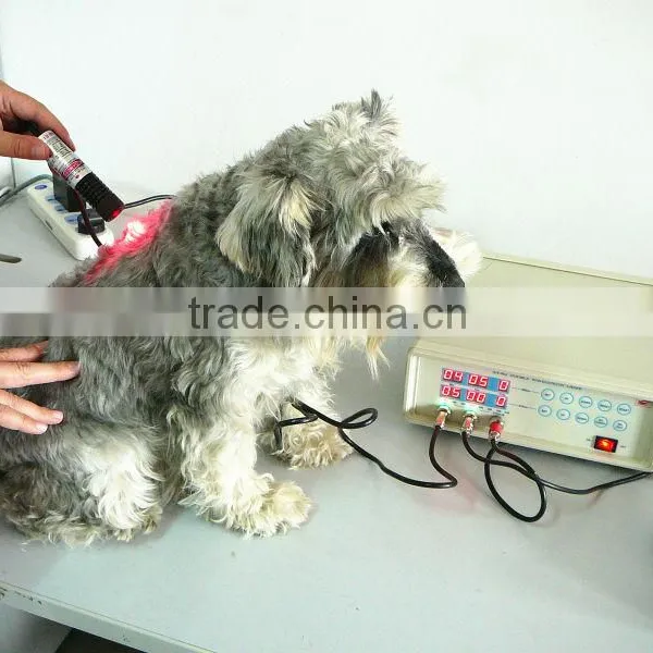 SN-902A Laser Veterinary Equipment photo-3