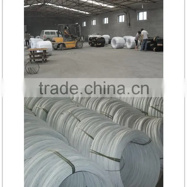 Galvanized Wire/binding Wire/gi Wire photo-4