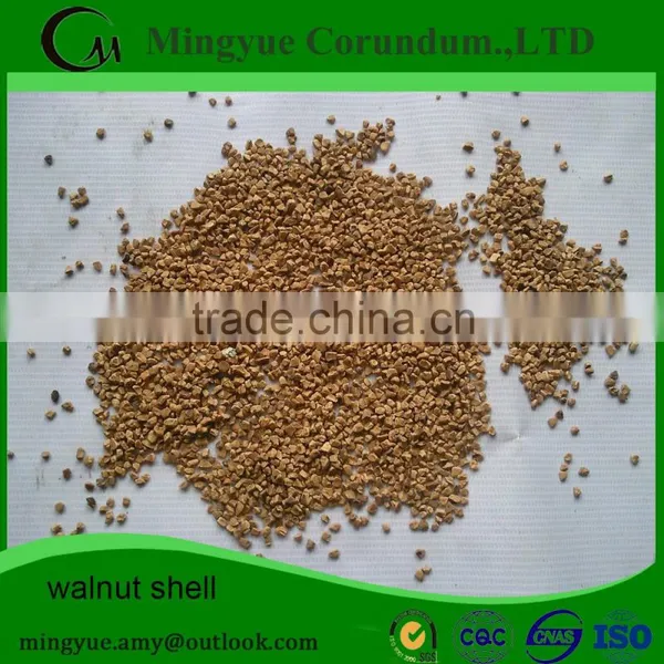 Organic Thin Shell Walnuts/Walnut Kernel/Walnut in Shell photo-3
