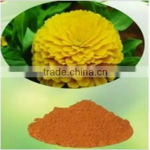 100% Natural Evening Primrose Oil Bulk