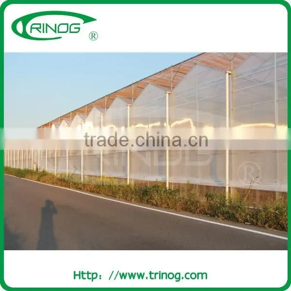 Easy Assemble Frp Greenhouse Panel Used for Greenhouse