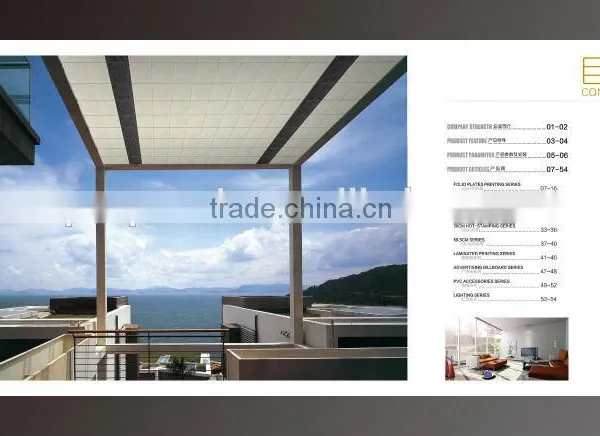 Hot-sale China Cheap Ceiling Panel From China photo-6