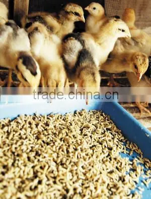 Mini Pellet Machine Price photo-2