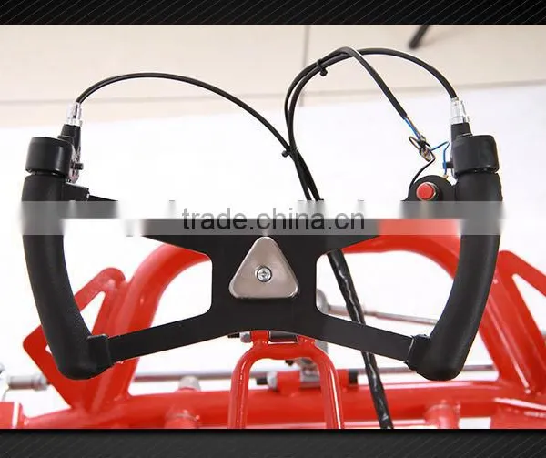 196cc Racing Go Kart For Sale With Electric Start ,Hydraulic Disc Brake ,EPA photo-4