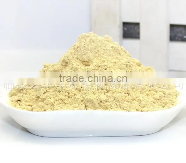 Dried Ginger Powder Hight Quality Ginger Root Extract Powder photo-3