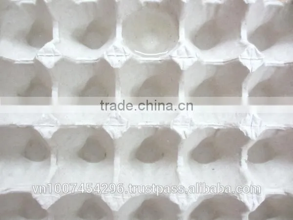 Egg Tray-30 photo-3