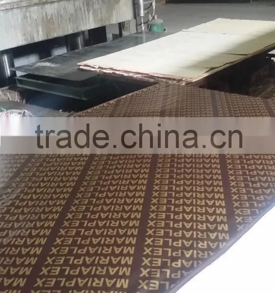 Film Faced Plywood With Printing Logo photo-3