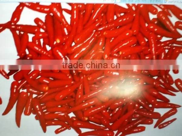 (Viber, Whatsapp:+841687264621) SELL CHILLI FROM VIETNAM