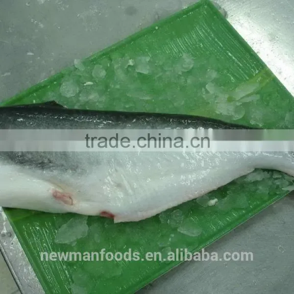 Vietnam Frozen Pangasius Fish Fillet Well Trimmed Fillet photo-2