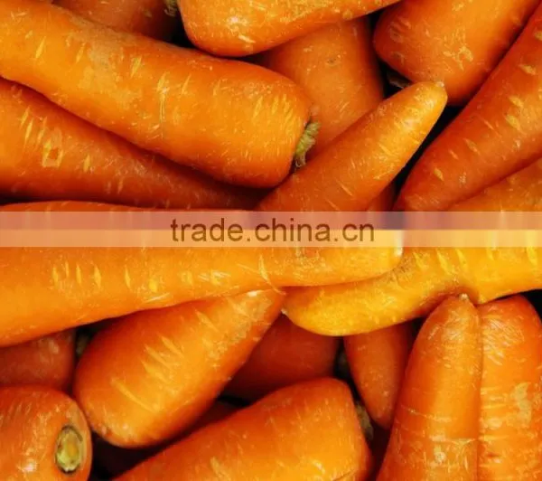 Fresh Carrot