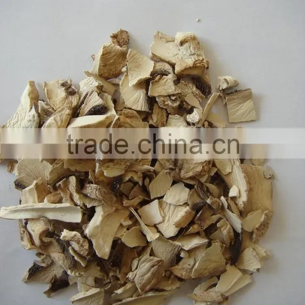 Hot Product Mushroom Powder Best Selling Products in Japan photo-2