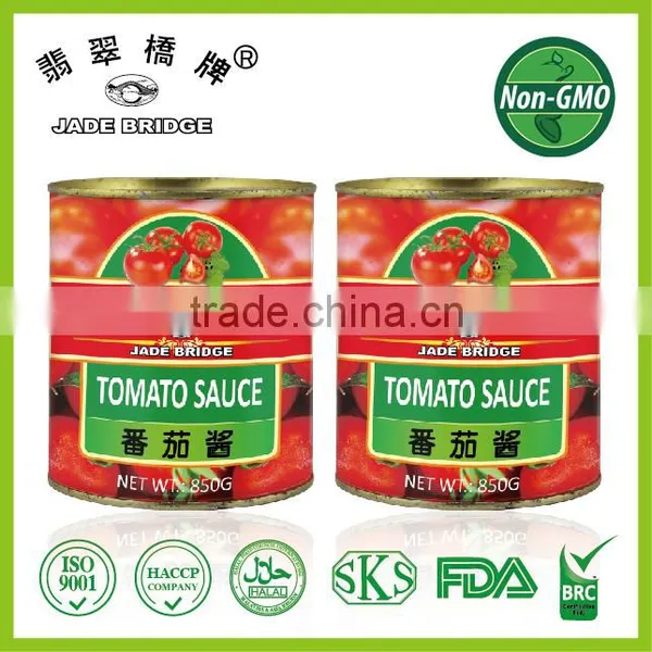 High Quality Tinned Tomato Paste in China photo-2