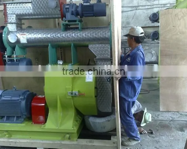 Best Pellet Mill Machine 5 Ton per Hour photo-5