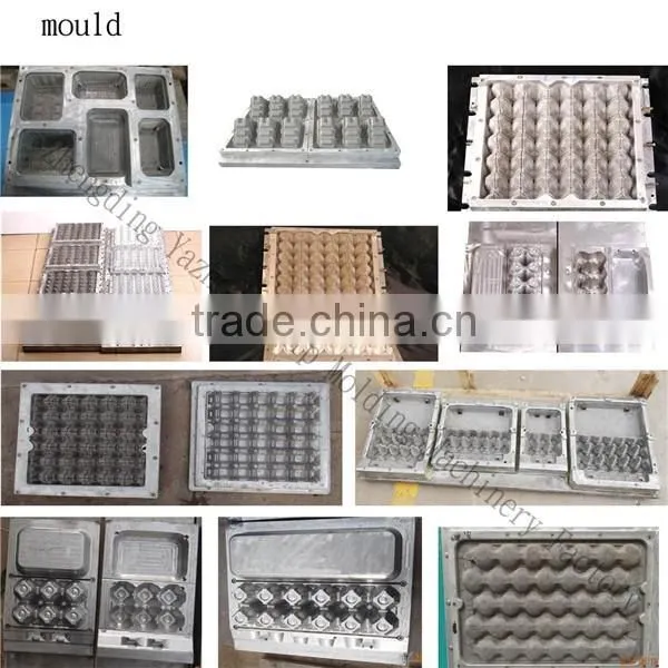 Automatic Paper Egg Tray Machine photo-6