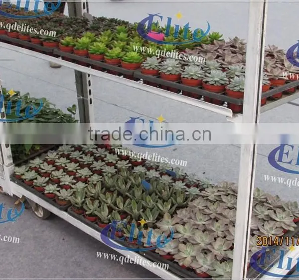 727 Seedling Retail Containers photo-3