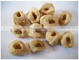 Soya Extruder Jinan Eagle photo-2