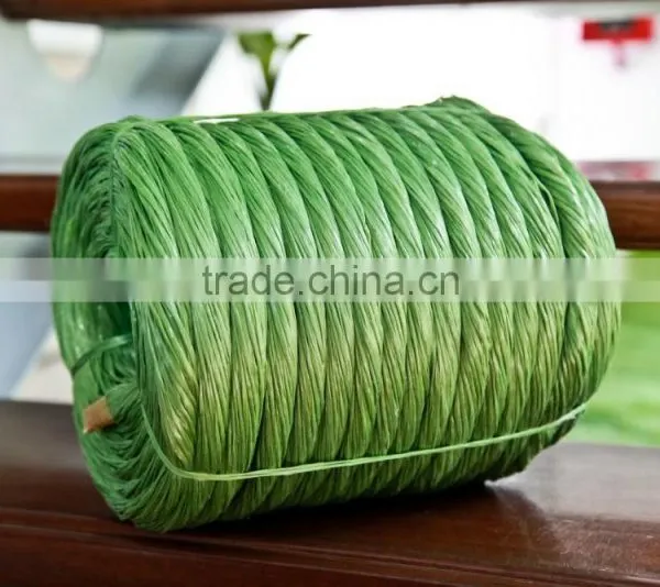 Baler Twine photo-4