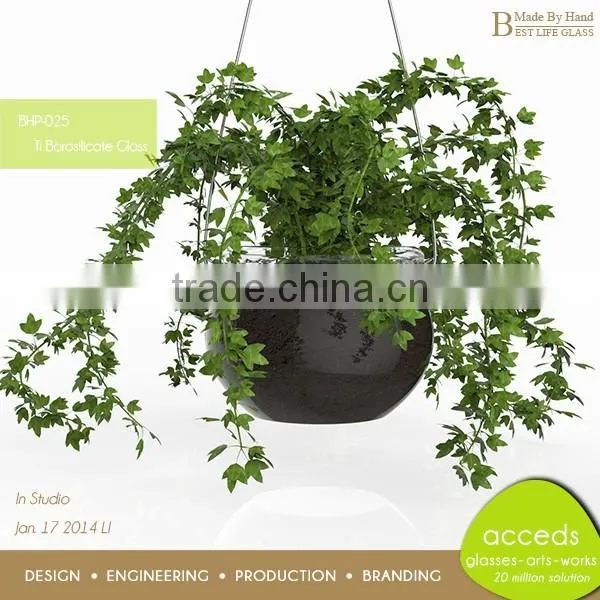 Clear Glass Hydroponic Pot photo-2