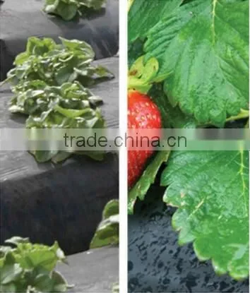 pp Woven Weed Control Black Plastic Mulch Ground Cover photo-3