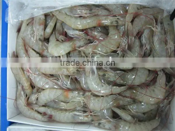 Vannamei Shrimps photo-3