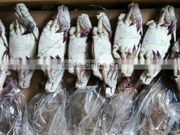 Frozen Blue Swimming Crab China Suppliers photo-2