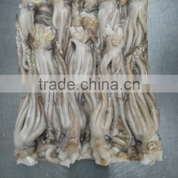 Frozen Tweed Bait Squid Heads photo-2