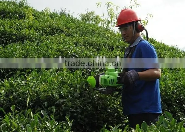 Double Edged Hedge Trimmer, 22.5cc, 1 HP /CE/GS photo-3