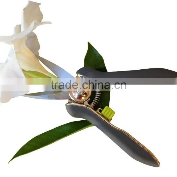 Amazon Popular Fruit Tree Flower Pruner Shear photo-4
